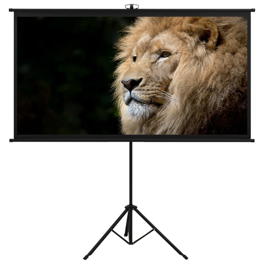 vidaXL Valkokangas jalustalla 120" 16:9