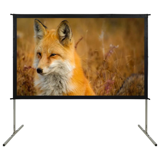 vidaXL Nopeasti taitettava valkokangas 120" 16:9