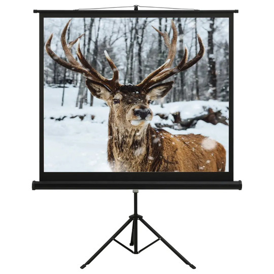 vidaXL Valkokangas jalustalla 60" 1:1