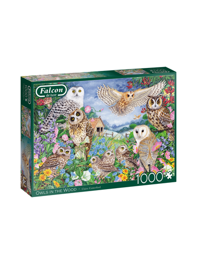 Falcon owls in the wood 1000