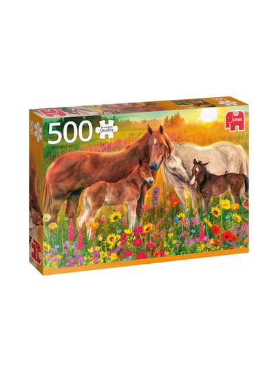 Horses in the meadow 500