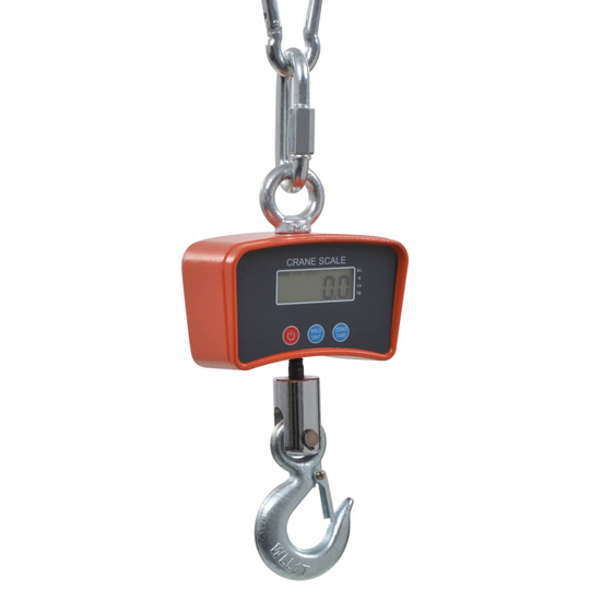 vidaXL Elektroniset nosturivaa´at 1 000 kg