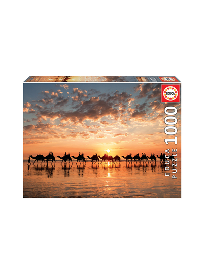 Sunset in beach cable 1000 educa