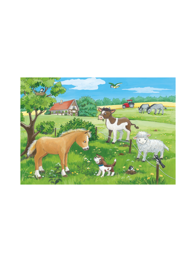 Baby farm animals