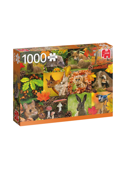Autumn animals 1000