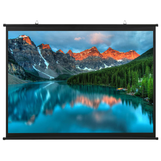 vidaXL Valkokangas 50" 1:1