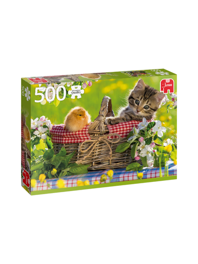 Ready for a picnic 500pcs