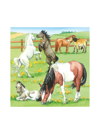 A day at the riding stable 3x49p