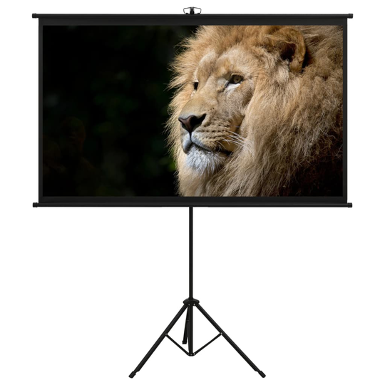 vidaXL Valkokangas jalustalla 50" 16:9