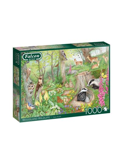 Falcon woodland life 1000x