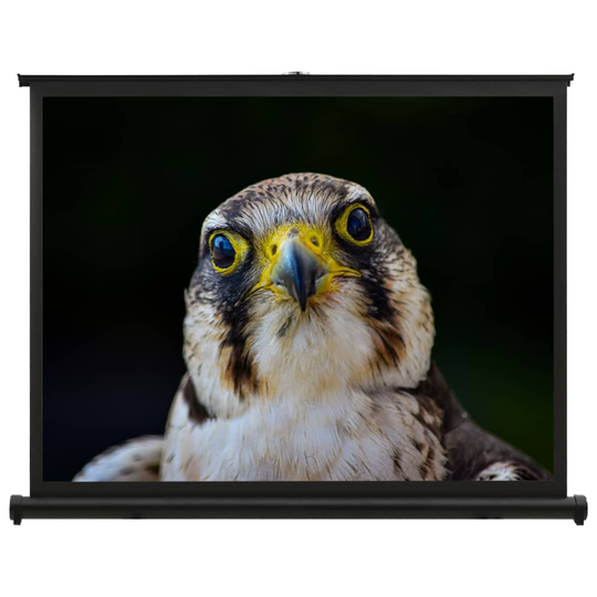 vidaXL Valkokangas työpöydälle 50" 4:3