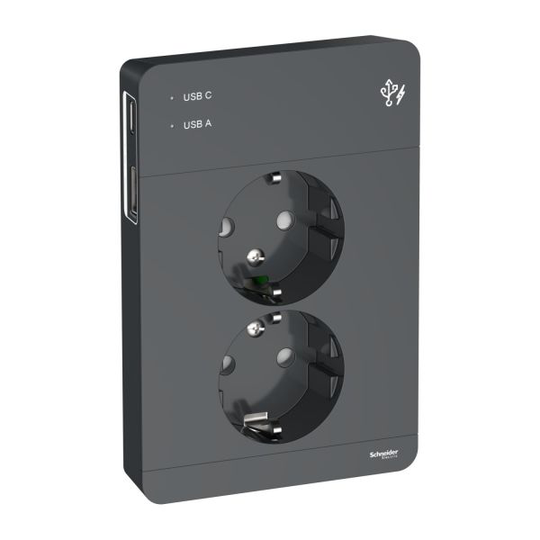Schneider Electric Exxact Pistorasia USB liitin Antrasiitti