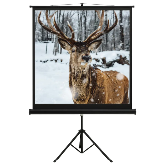 vidaXL Valkokangas jalustalla 48" 1:1