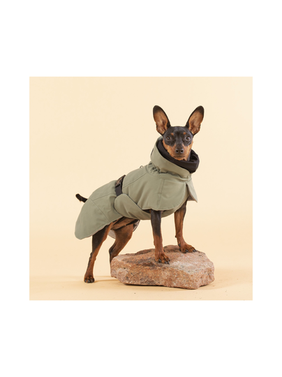 Visibility winter jacket green for dogs