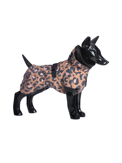 Visibility raincoat lite leopard for dogs