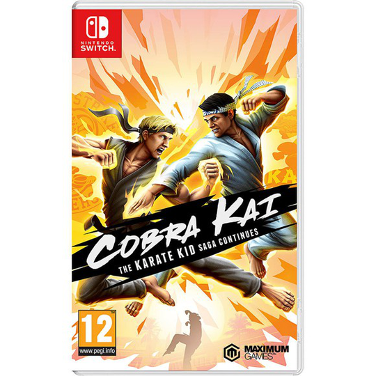 Cobra Kai The Karate Kid Saga